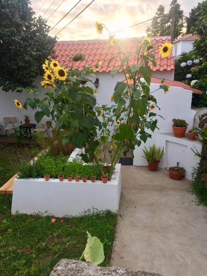 The Azores Homestead - Terceira Santa Barbara  Exteriör bild