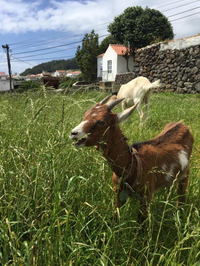 The Azores Homestead - Terceira Santa Barbara  Exteriör bild